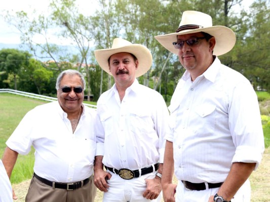 Exhibición de caballos peruanos de paso en Tegucigalpa