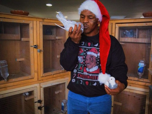 Mike Tyson puede parecer rudo, pero también cría palomas.