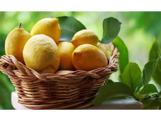 Frota el pelaje de tu mascota con limón, naranja o alguna otra fruta cítrica y podrás mantener las pulgas y garrapatas a raya.