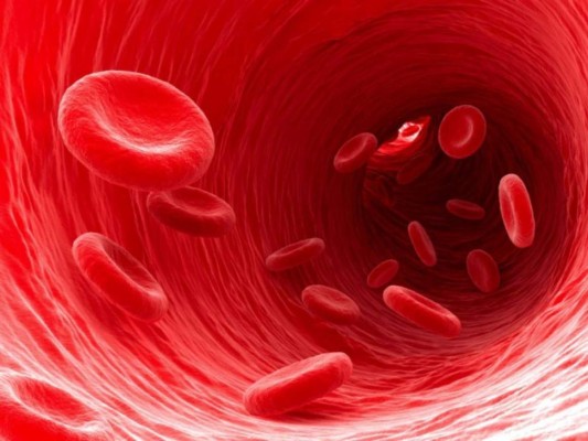 Regula el ph de la sangre: Funciona como un perfecto limpiador que elimina las toxinas y controla el colesterol. Además, también mejora significativamente la circulación.