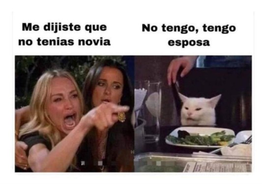 ¡Los mejores memes del famoso gato en la mesa!