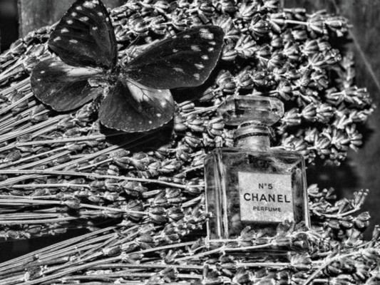 .El cinco era el número favorito de la diseñadora, esto porque fue la fragancia Chanel No. 5 la que eligió de entre otros 4 perfumes, y la cual fue lanzada a la venta al público el día 5 de mayo, del año 1921.Este famoso perfume se convirtió en su sello personal y en un legado en la industria de la moda. Actualmente se vende una fragancia Chanel No. 5 cada 30 segundos alrededor del mundo.<br/>