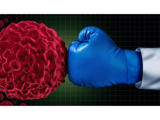 Contienen propiedades anticancerígenas<br/>Poseen químicos en su interior conocidos por su efectividad en el tratamiento contra el cáncer.<br/>