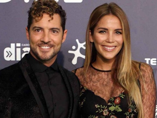 David Bisbal está comprometido