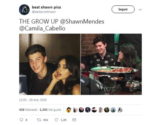 Camila Cabello y Shawn Mendes ¿Pareja?