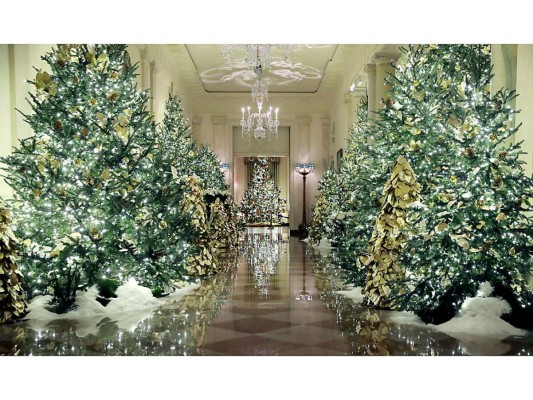 La Navidad llega a la Casa Blanca