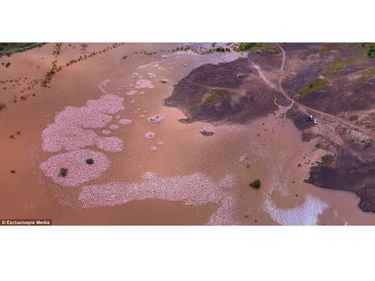 Grandes ciudades vistas desde el cielo