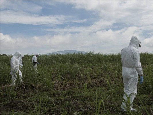 Foto: Revista Estilo