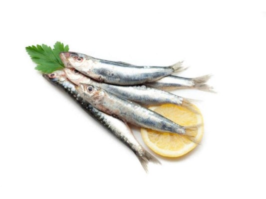 Sardinas.