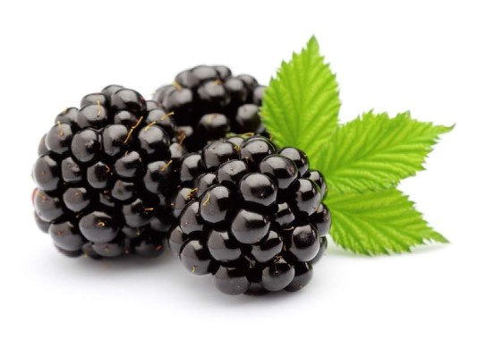 Moras: Ricas en antioxidantes y con bajo contenido de azúcar, las moras son una super comida. Los expertos recomiendan al menos una taza de moras al dia.