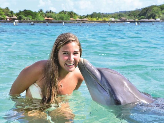 Anthony’s Key Resort. El encuentro con los delfines.