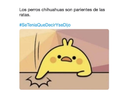 Los mejores memes de ''Se tenía que decir y se dijo''