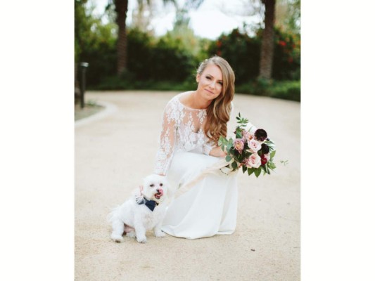 Perros, protagonistas de las bodas