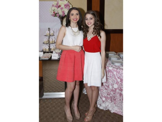 Pink baby shower para Ericka Handal