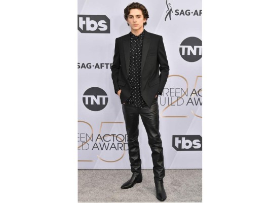 Timothee Chalamet (Louis Vuitton)