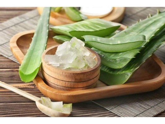 Áloe vera<br/>Sus hojas contienen un gel refrescante y antinflamatorio, hay que aplicarlo sobre la zona y dejarlo secar.<br/>