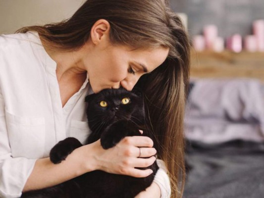 A pesar de que más personas tienen gatos en sus hogares, la mayoría suele ser alérgicos a ellos por su pelo. También los gatos son alérgicos a las personas ya sea porque fuman, la caspa o el cabello les puede provocar “asma felino”.