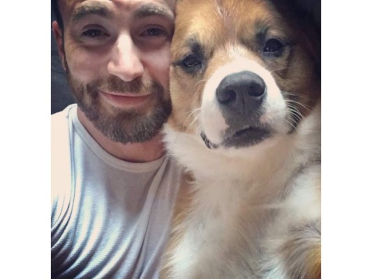 Se trataba de un perro Bóxer mestizo, que en el momento en que Chris lo adoptó, este ya tenía aproximadamente un año de edad.
