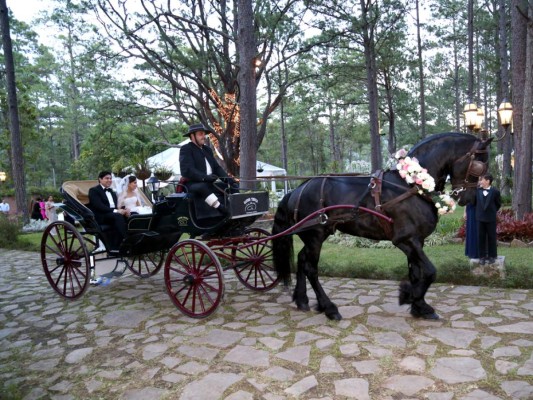 José Jarquín y Julissa Ustariz celebran fiesta nupcial