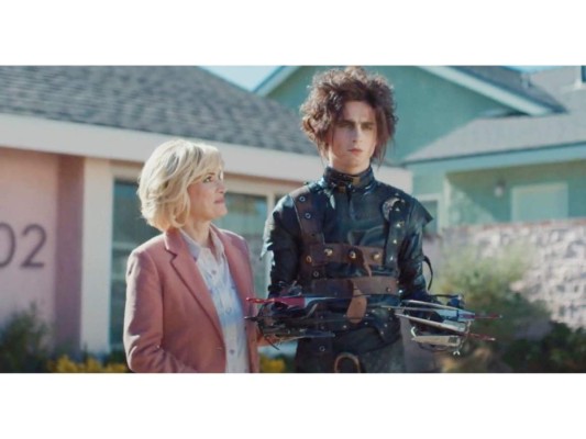 ¿Timothée Chalamet es el nuevo Edward Scissorhands?