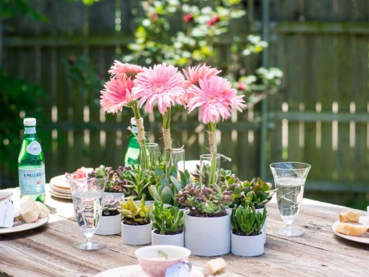 Las plantas del jardín, especialmente las especies pequeñas como las suculentas, se convierten en elementos decorativos de los encuentros más casuales
