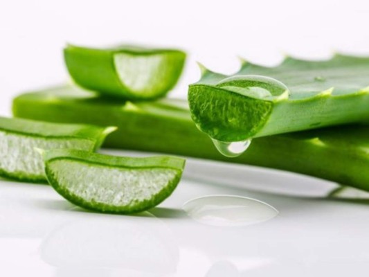 Aloe Vera: El aloe vera brinda grandes nutrientes y vitaminas para que las pestañas logren crecer hidratadas y se mantienen muy fuertes.