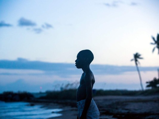10. MOONLIGHT. Esta película cuenta la difícil infancia, adolescencia y madurez de un chico afroamericano que crece en una zona conflictiva de Miami. A medida que pasan los años, el joven se descubre a sí mismo y encuentra el amor en lugares inesperados. Al mismo tiempo, tiene que hacer frente a la incomprensión de su familia y a la violencia de los chicos del barrio. Dirigida por Barry Jenkins (Medicine for Melancholy), la película explora la masculinidad, la sexualidad y los conflictos en la familia. Cuenta con la participación de Naomie Harris (Skyfall, 28 días después...), Janelle Monáe (Con derecho a roce), Mahershala Ali (Cruce de caminos), André Holland (Selma), Trevante Rhodes (Westworld), Edson Jean (Juego de armas) y Ashton Sanders (Straight Outta Compton), entre otros. Moonlight se llevó el premio como Mejor Película Drama, tras la polémica por la ausencia de galardonados afroamericanos en las últimas entregas de premios.<br/><br/>