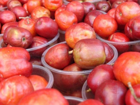 Ciruelas<br/> Son frutas ricas en vitaminas, pero también tiene un aporte para el sistema digestivo, funcionan como laxante natural evitando el estreñimiento.