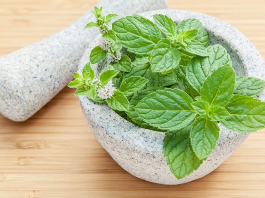 Menta<br/>Previene las picaduras y su olor es muy agradable, aplícalo antes de salir a lugares donde hayan insectos para prevenir las picaduras.<br/><br/>