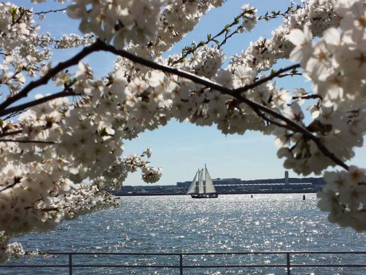 La primavera alrededor del mundo