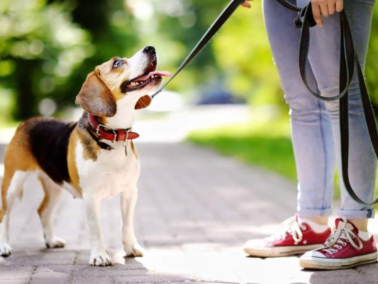 Foto: Revista Estilo