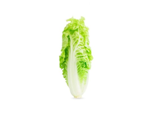 Repollo chino<br/>Es una fuente de carotinoides provitamina A, vitamina C, fibra y folato. La vitamina A es buena para la vista, huesos, dientes, piel, tejidos corporales, reproducción y el desarrollo de las funciones hormonales y de las co-enzimas.<br/>