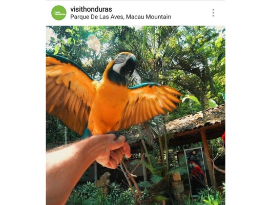 Cuentas hondureñas de Instagram para seguir en estas vacaciones