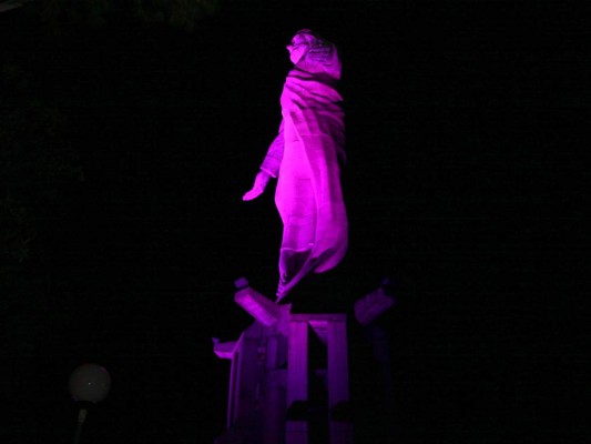 Funhocam enciende de rosa el Cristo del Picacho