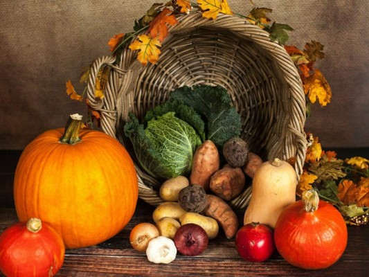¡El otoño y sus encantos culinarios!