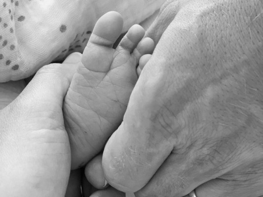 Lea Michele<br/>Se supo que la protagonista de Glee dio a luz a su primer hijo junto a su esposo el empresario Zandy Reich hace unos días atrás, pero fue hasta hace un día que Lea publicó la noticia en su instagram , la revista People averiguó en nombre del pequeño a quien sus padres llamaron “Ever Leo'.<br/>
