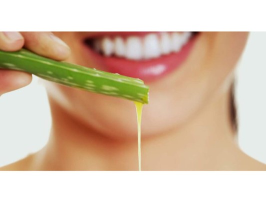 aloe vera