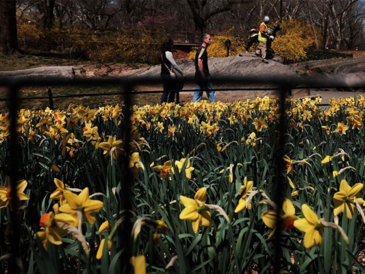 La primavera alrededor del mundo