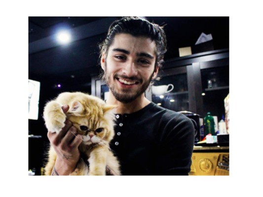 Zayn Malik