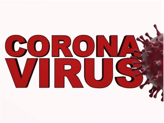 Suecia combate el coronavirus sin cuarentena, entrenan perros para detectar el COVID-19 y más.