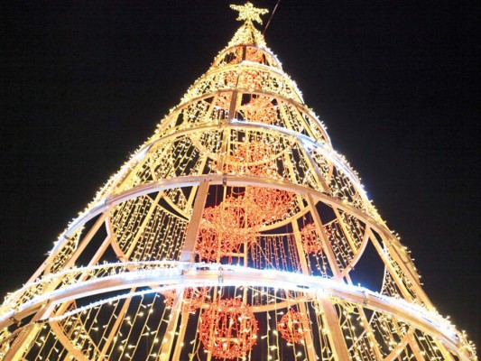 Detalle del árbol del Trans 450