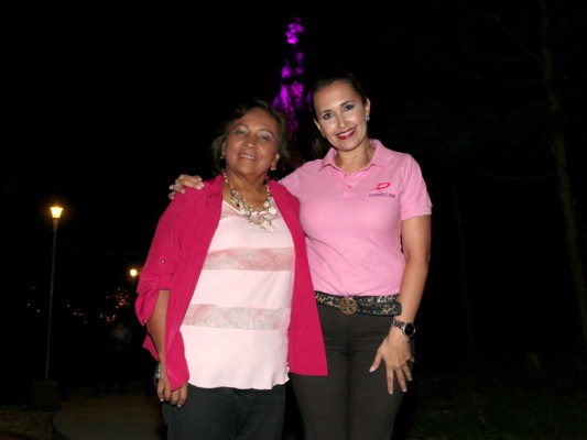 Funhocam enciende de rosa el Cristo del Picacho