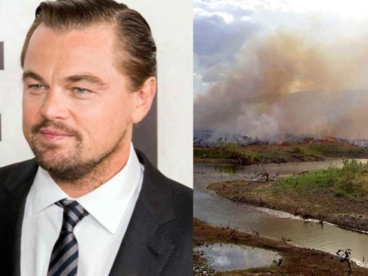 Leo Dicaprio dona 5 millones de dólares para la preservación del Bosque Amazonas