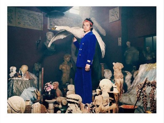 Harry Styles protagoniza nueva campaña de Gucci, con cerdos y cisnes