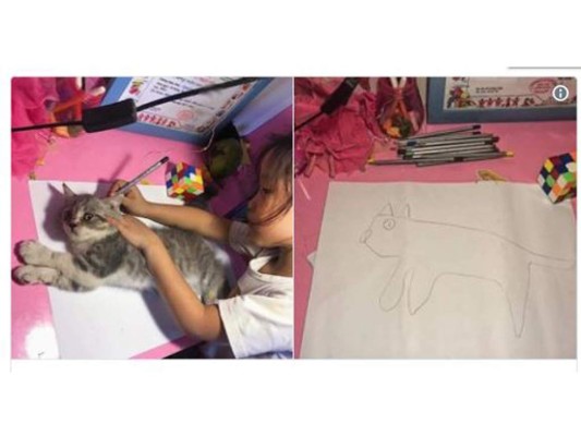 Una niña intentó dibujar a su gato con su propio gato, por accidente terminó creando un meme viral. La imagen fue utilizada como símbolo de la comparación entre las copias baratas y las originales, gracias a la creatividad de los internautas. En esta galería te dejamos los mejores resultados de este cómico momento.