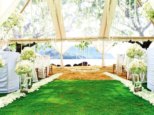 ¡Viva el verde! En paredes, interiores, exteriores, detalles decorativos en chandeliers, caminos de mesa, en las sillas de los novios, decoraciones de menús recuerdos de boda, el verde es el color que todas aman.