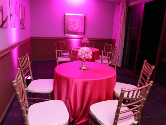 ESTILO Pink Party for a cause