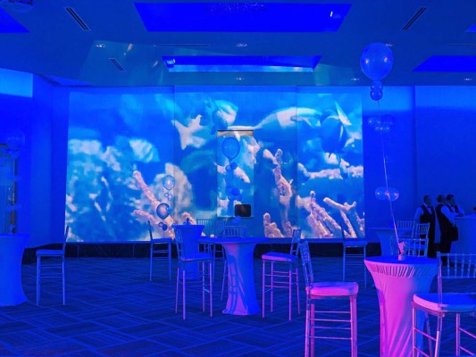 'Under The Sea': EIS Bulldogs class of 2019    