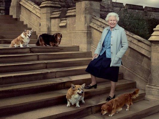 Reina Isabel sorprende con nueva colección de accesorios para perros
