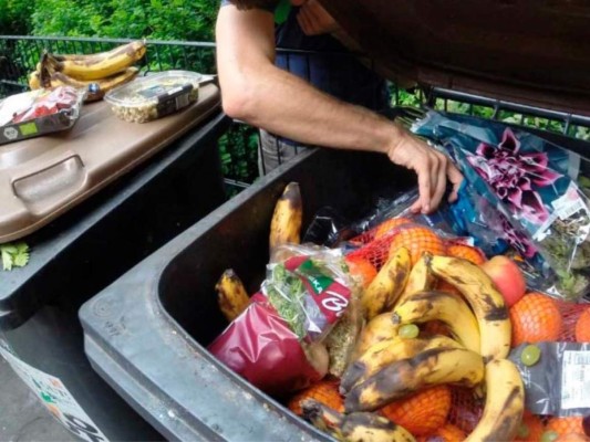 Bota todos aquellos alimentos que pudieron haber estado en contacto con el agua de la inundación.